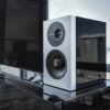 Definitive Technology D11