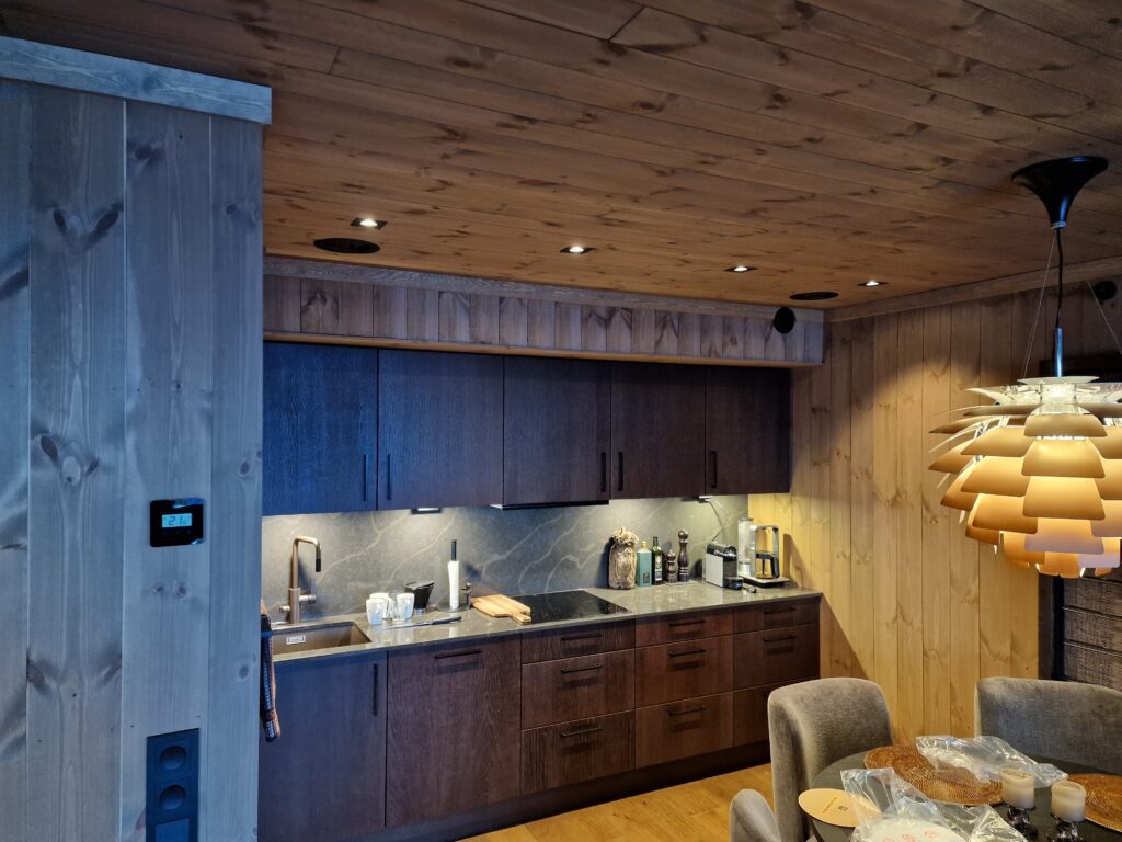 Gaustablikk skjult lydanlegg i leilighet