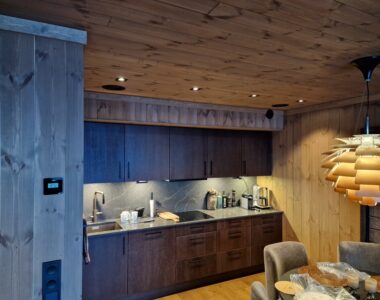 Gaustablikk skjult lydanlegg i leilighet