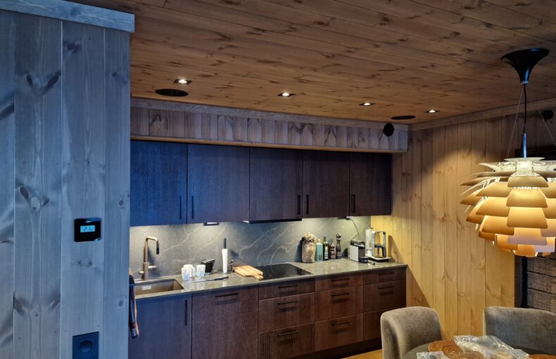 Gaustablikk skjult lydanlegg i leilighet