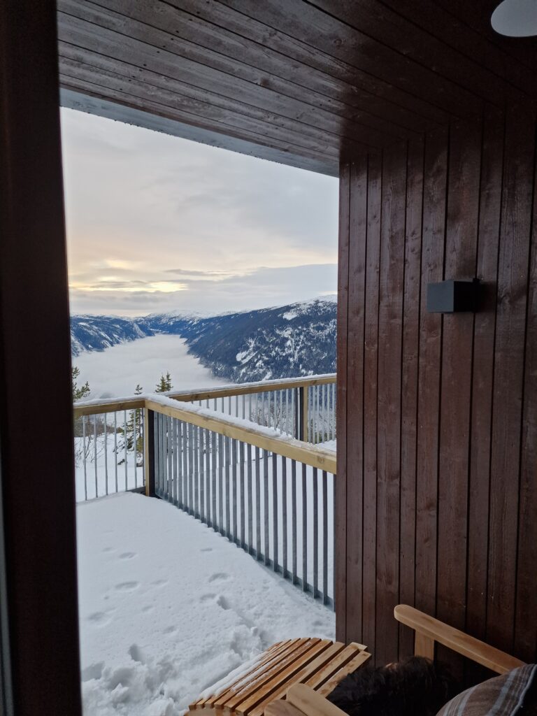 Gaustablikk skjult lydanlegg i leilighet