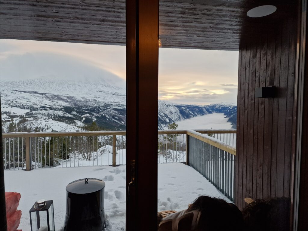 Gaustablikk skjult lydanlegg i leilighet